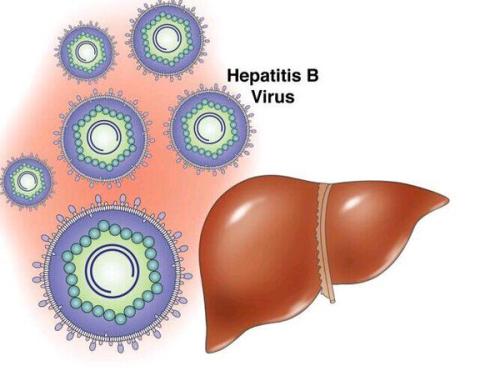 乙肝治疗