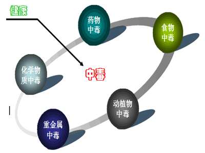 慢性肾小球肾炎的发病机制