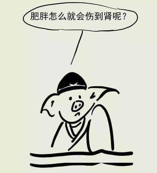 肾脏：主人为什么越来越胖了?我快受不了了!怎么办?