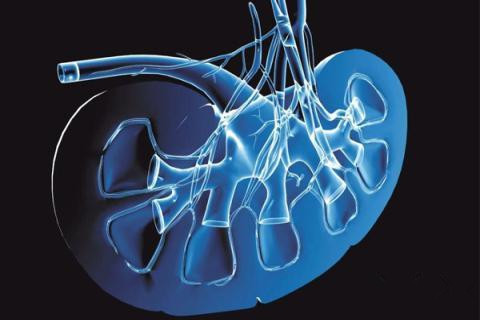 “累”会导致肾病复发?肾病患者如何休息?