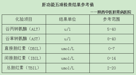 肝功能五项