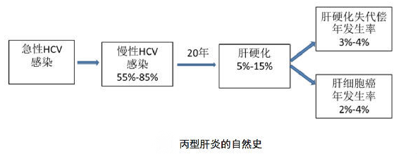 丙肝抗体阳性怎么办